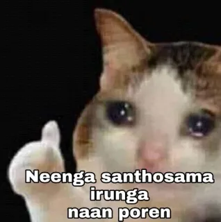 😭 Neenga santhosama irunga naan poren gato, dedo do meio, ofensivo, gesto telegram sticker