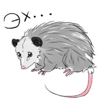 😣 opossum, hewan, satwa liar, lucu, stiker telegram sticker