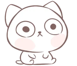 😨 gato, gatinho, fofo, animal, adesivo whatsapp sticker