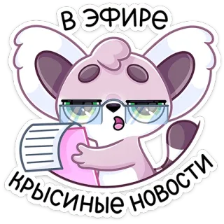 🤓 В эфире крысиные новости zwierzę, koala, wiadomości, kreskówka, okulary, biuro, słodki telegram sticker