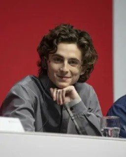 🦇 Timothée Chalamet actor, celebridad, retrato, hombre, pelo rizado telegram sticker