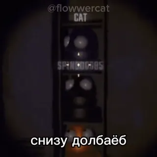 ⏬ снизу долбаёб telegram sticker