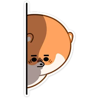 👀 만화, 동물, 캐릭터, 귀여운, 빼꼼 telegram sticker