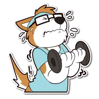 🏋 perro, ejercicio, fitness, dibujos animados, entrenamiento, levantamiento de pesas, gimnasio telegram sticker