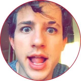😳 Charlie Puth person, singer, musician, celebrity, portrait telegram sticker