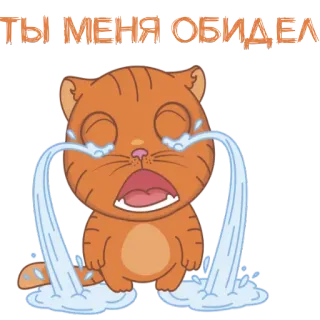 😡 ТЫ МЕНЯ ОБИДЕЛ cat, crying, sad, upset, orange telegram sticker
