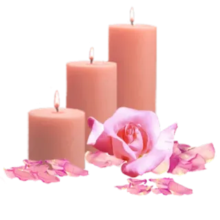 🌹 свечи, роза, цветы, романтика, украшение, розовый, свет свечей telegram sticker