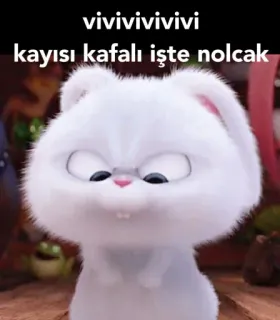 😒 vivivivivivi
kayısı kafalı işte nolcak 토끼, 귀여운, 동물, 흰색 whatsapp sticker