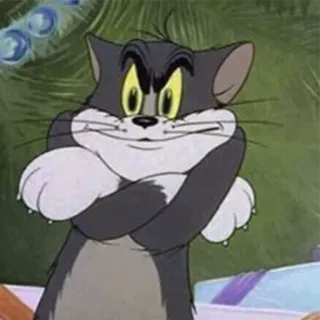 🤨 Tom Cat Tom and Jerry telegram sticker