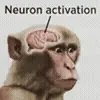 🧠