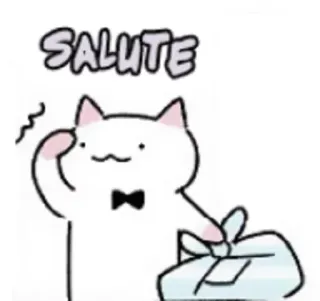 🙋‍♂️ SALUTE Katze, Gruß, Cartoon, Tier, Grüße telegram sticker