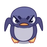 😡 เพนกวิน, โกรธ, การ์ตูน, นก, น่ารัก whatsapp sticker