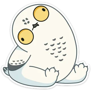 😳 coruja, fofo, animal, desenho animado, branco, pássaro telegram sticker