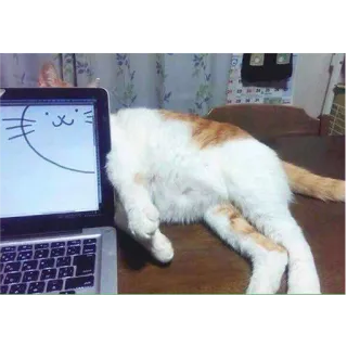 🙂 kot, laptop, zwierzę, zwierzę domowe, rysunek, słodki, śmieszny telegram sticker
