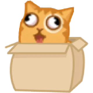 📦 gatto, scatola, divertente, carino, animale, animale domestico whatsapp sticker