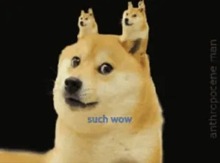 😮 such wow Doge, Pies, Meme, Such Wow, Meme internetowy, Zwierzę domowe, Zwierzę telegram sticker