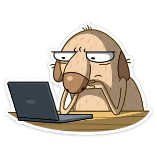 😕 anjing, komputer, kartun, laptop, hewan, internet telegram sticker