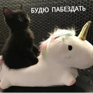 🤠 БУДЮ ПАБЕЗДАТЬ gatto, gattino, unicorno, peluche, carino, meme whatsapp sticker