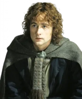 😳 Pippin Lord of the Rings Pippin, Lord of the Rings, hobbit, fantasy, movie, character telegram sticker