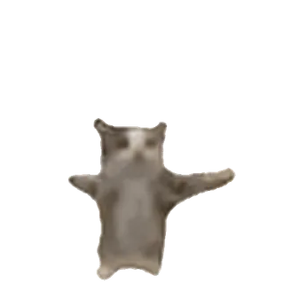 Cat @prem0emoji telegram emojis 🤩