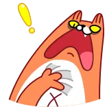 😱 gato, dibujos animados, sorpresa, impactado, exclamación, preocupado telegram sticker
