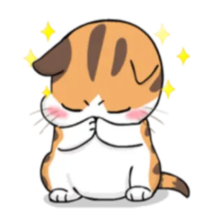 ✨ кот, милый, каваий, умоляющий, блестки, просить telegram sticker
