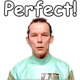 👌 Perfect! perfetto, meme, divertente, reazione telegram sticker