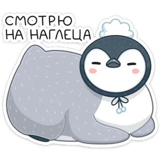 👀 СМОТРЮ
НА НАГЛЕЦА pinguïn, schattig, dier, sticker telegram sticker