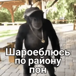 😤 Шароеблюсь по району пон macaco, russo, gíria, boné telegram sticker