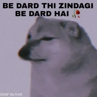 😭 BE DARD THI ZINDAGI BE DARD HAI telegram sticker
