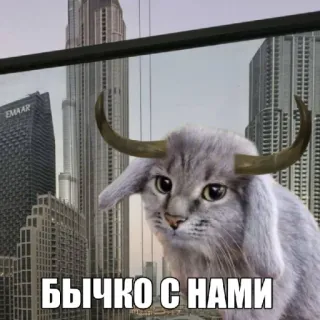 🤩 БЫЧКО С НАМИ cat, bull, horns, building, city telegram sticker