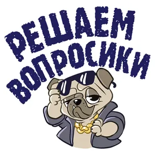 👌 РЕШАЕМ ВОПРОСИКИ carlino, perro, gafas de sol, dibujos animados, guay, chaqueta, cadena telegram sticker