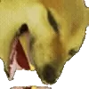 🐕