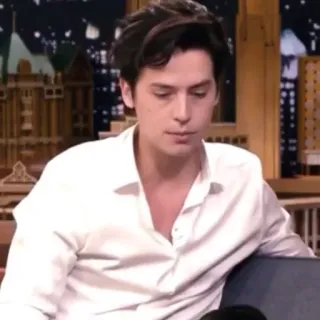 🌨 Cole Sprouse actor, celebridad, retrato telegram sticker