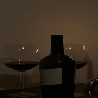 💡 vino, alcol, bevanda, calici vino, bottiglia telegram sticker