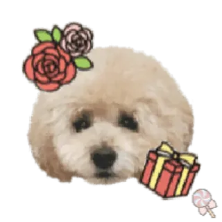 🐶 собака, щенок, цветы, милый, подарок, леденец telegram sticker