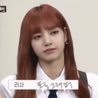 😏 Lisa 리사 포틀 그래퍼 K-Pop, Sänger, Person, Frau, Porträt telegram sticker