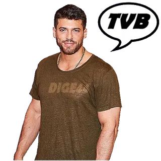 ❤️ TVB telegram sticker