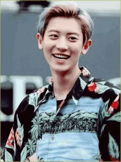 💮 homme, souriant, portrait, chemise hawaïenne, personne, joyeux, kpop telegram sticker
