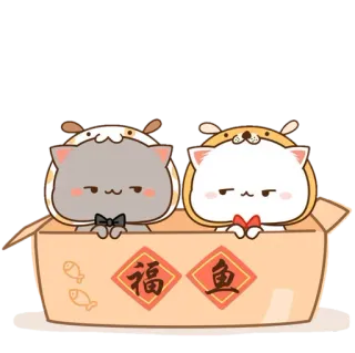 ✨ 福鱼 mèo, hộp, động vật, tết nguyên đán, dễ thương telegram sticker