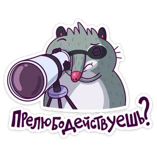 🔎 ПРЕЛЮБОДЕЙСТВУЕШЬ? rakun, teropong, binatang, kartun, stiker, melihat, lucu telegram sticker