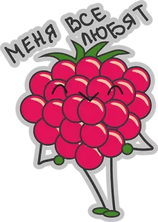 😍 МЕНЯ ВСЕ ЛЮБЯТ frambuesa, dibujos animados, fruta, mono, ruso whatsapp sticker