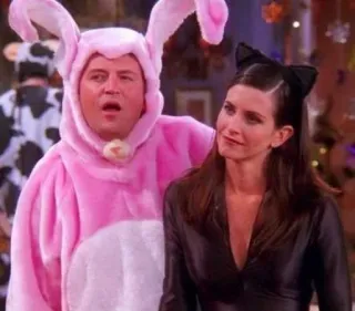 🐚 Friends halloween, déguisements, lapin, chat, série tv telegram sticker