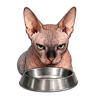 🍽️ telegram sticker