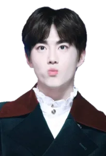 😗 k-pop, singer, cute, actor, celebrity, asian, idol telegram sticker