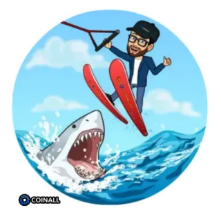 🐳 esquí acuático, tiburón, océano, mar, recreación, deportes acuáticos, dibujos animados, aventura whatsapp sticker