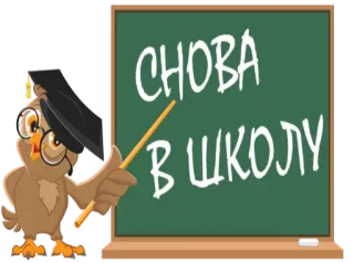 😁 СНОВА 
В ШКОЛУ coruja, escola, educação, lousa, ponteiro whatsapp sticker
