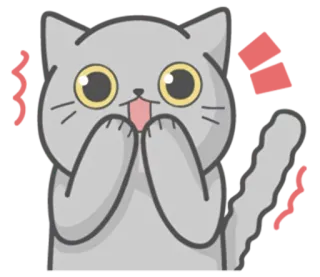 😳 kat, schattig, enthousiast, verrast, cartoon telegram sticker
