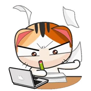 👨‍💻 แมว, แล็ปท็อป, สำนักงาน, กระดาษ, งาน, ดินสอ, โกรธ telegram sticker