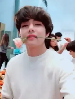 💜 V V, K-pop, BTS, Kim Taehyung, idol, rose, singer telegram sticker